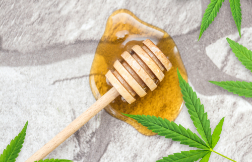 The Ultimate Guide to Cooking with Cannabis: Potential Health Benefits of Cannabinoids and Hemp